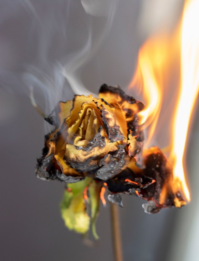 flowerburn